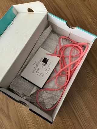 Nike SB Dunk Low Concepts Purple Lobsters