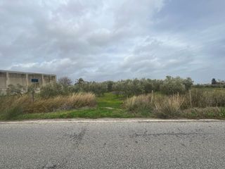 Terreno Rustico en Los Palacios