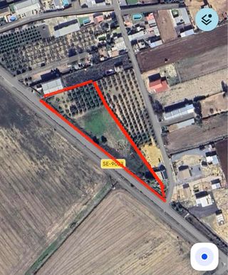 Terreno Rustico en Los Palacios