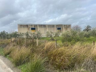 Terreno Rustico en Los Palacios