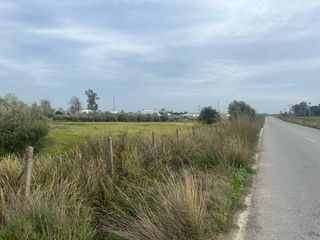 Terreno Rustico en Los Palacios