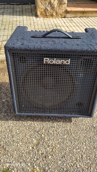 Amplificador Roland