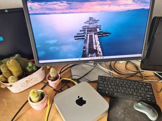 Apple Mac Mini i5 2.5 • 16GB RAM • 1024GB SSD WIN