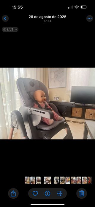 Trona Maxi-Cosi Minla Evolutiva