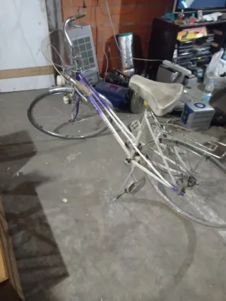 Bicicleta Paseo Clásica