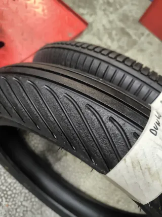 Neumáticos Dunlop Moto 2018 y 2019