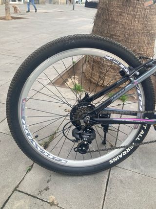 Crossride y Ardis para mujer 135 € por una i