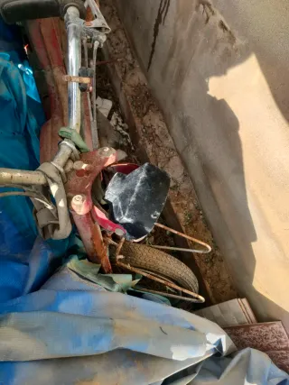 Cady Moped - Entera o por piezas