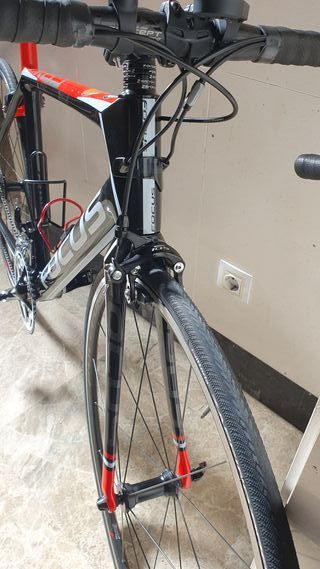 Focus Cayo Carbono Bicicleta de Carretera