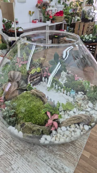 Terrario XXL con plantas y decoración