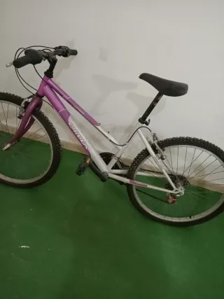 Bicicleta Orbea Morada y Plateada