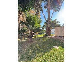 Piso en alquiler en Puerto Marina en Benalmádena