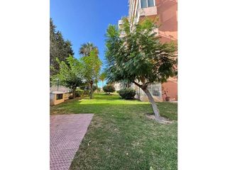 Piso en alquiler en Puerto Marina en Benalmádena