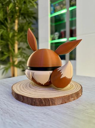 Pokeball Eevee Pokemon