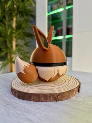 Pokeball Eevee Pokemon