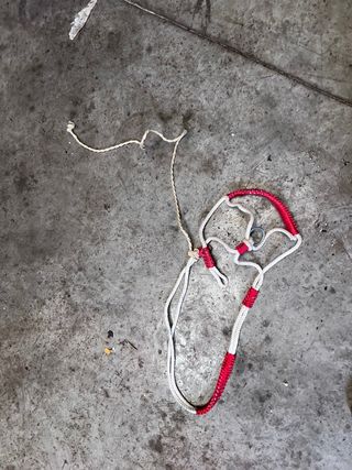 2 Cabestro para caballo