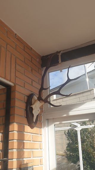 Jarras de cerámica antiguas decoradas