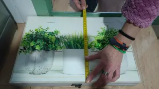 Cuadro Decorativo Plantas Macetas