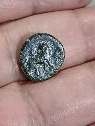 4 Monete Antiche Grecia