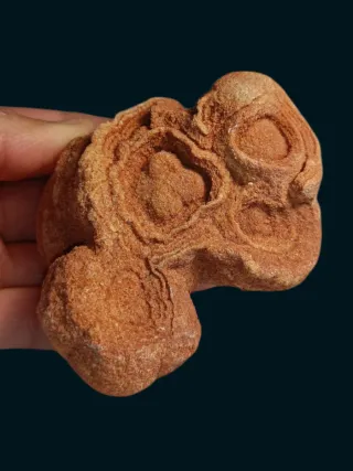 Fragmento Fósil Estromatolito. oferta!!!