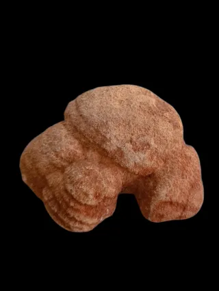 Fragmento Fósil Estromatolito. oferta!!!