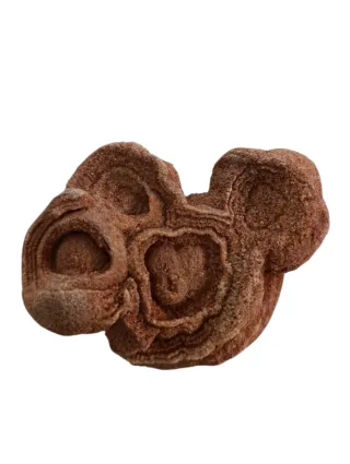 Fragmento Fósil Estromatolito. oferta!!!