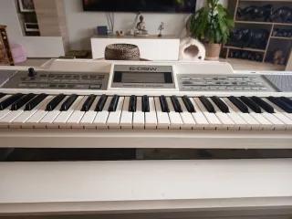 Teclado Roland E09W con patas