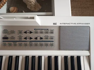 Teclado Roland E09W con patas