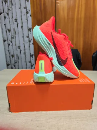 Zapatillas Nike Pegasus Plus Unisex