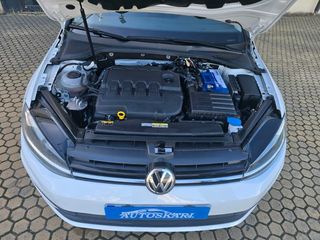Volkswagen Golf 5p Last Edition 1.6 TDI 85 kW (115 CV)
