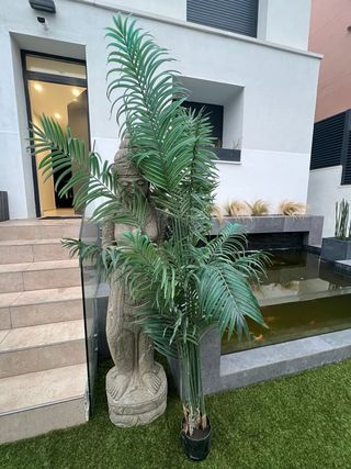 Planta decorativa de interior o exterior