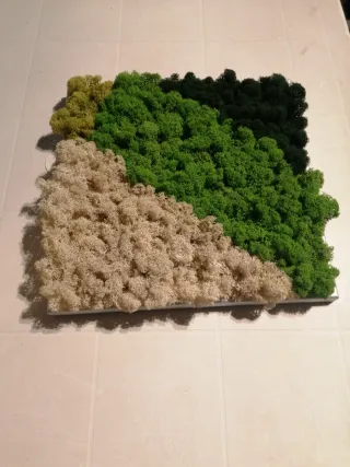 Pannello muschio stabilizzato vero