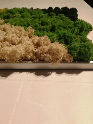 Pannello muschio stabilizzato vero