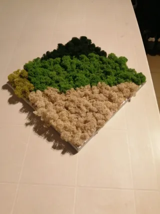 Pannello muschio stabilizzato vero