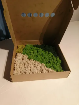 Pannello muschio stabilizzato vero