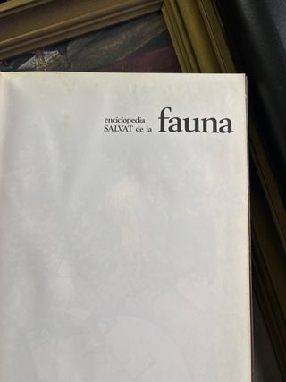 Enciclopedia salvat fauna
