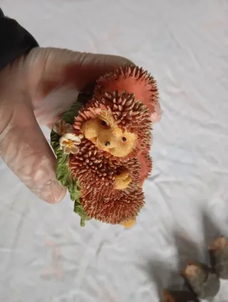 Lotto collezione RICCI