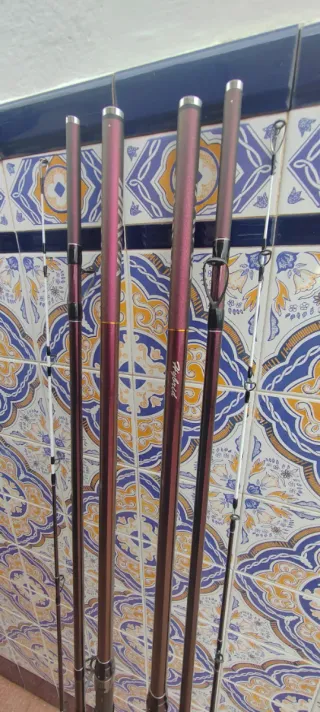 Cañas Daiwa Prime Caster Slim 33