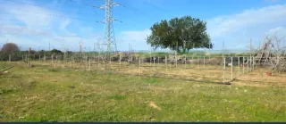 2 terrenos en venta en Quart de poblet