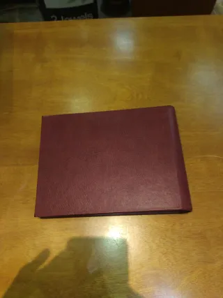 Álbum de fotos elegante con detalle plateado