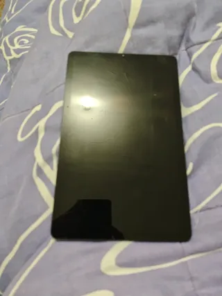 Samsung S6 Lite Tablet