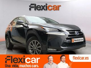 Lexus NX 2.5 300h Business 2WD