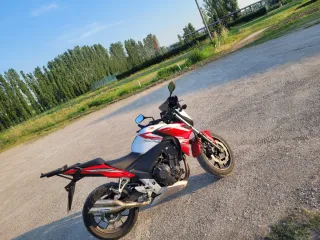 Terminale di scarico Cobra