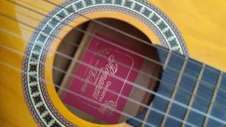 Guitarra Española Clásica
