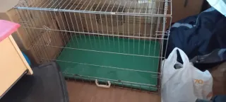 Jaula metálica para animales grandes