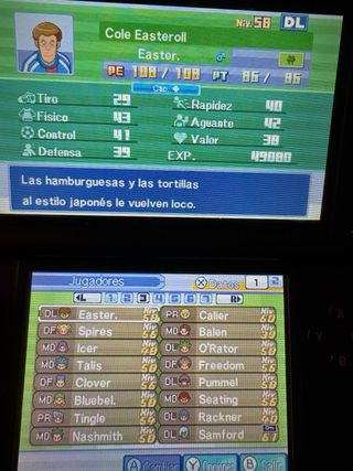 Inazuma Eleven 3: Rayo Celeste (Lightning Bolt)