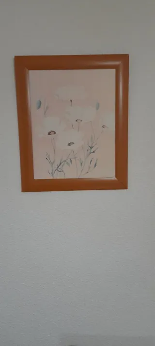 Conjunto de 3 cuadros decorativos