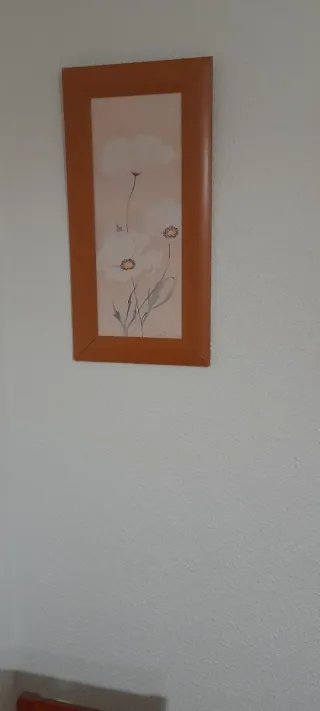 Conjunto de 3 cuadros decorativos