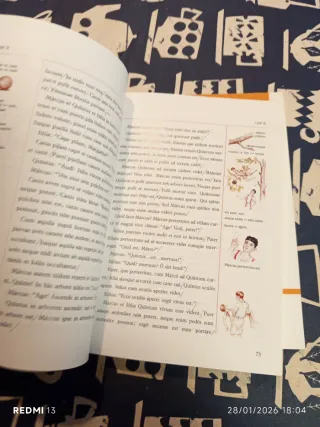 Libro texto latín LINGUA LATINA FAMILIA ROMANA