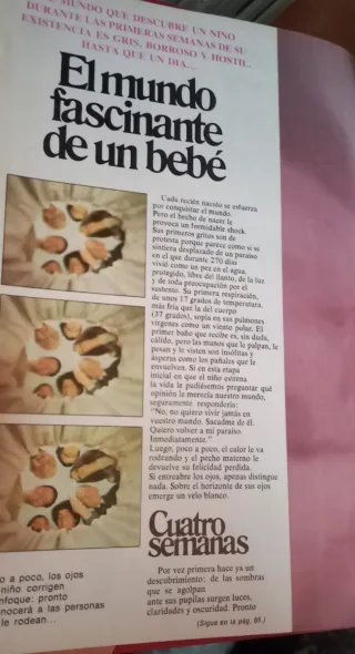 Revistas encuadernadas Ser Padres años 1975-76-77